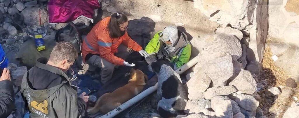 Hombre en situación de calle sufre quemaduras por dormir junto a una fogata