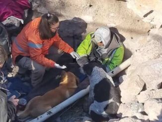 Hombre en situación de calle sufre quemaduras por dormir junto a una fogata