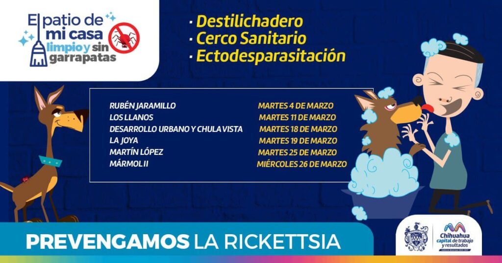 Conoce las colonias que visitará el programa “Patio de mi Casa” en el mes de marzo