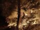Combaten 381 brigadistas los 13 incendios forestales activos en 8 municipios del estado