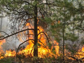 Urgen recursos para enfrentar incendios en el Estado: Congreso