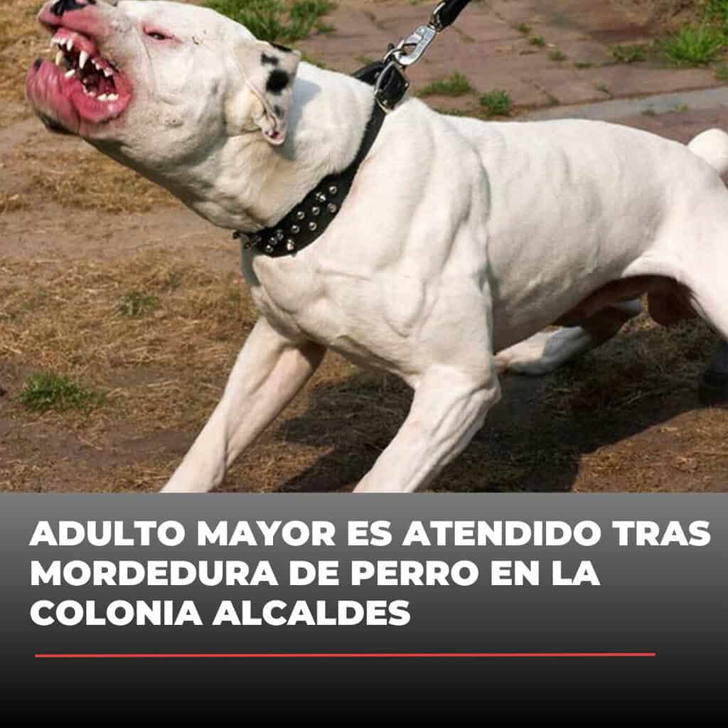 Adulto mayor es atendido tras mordedura de perro en la colonia Alcaldes