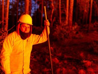 Coordina Secretaría de Desarrollo Rural a más de 200 combatientes para atención de incendios forestales